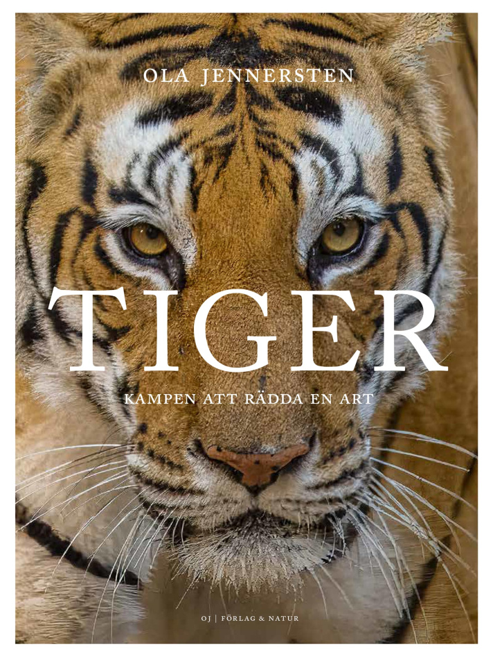 Tiger – Kampen att rädda en art