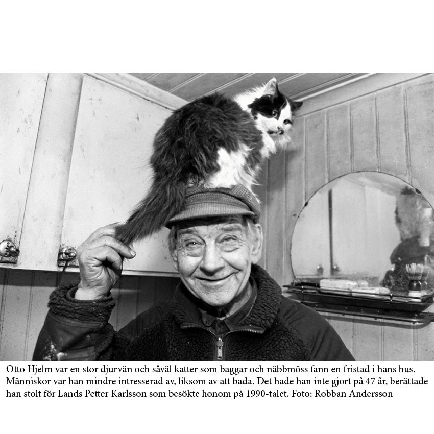 Det svunna Sverige - Sällsamma berättelser av Petter Karlsson 7