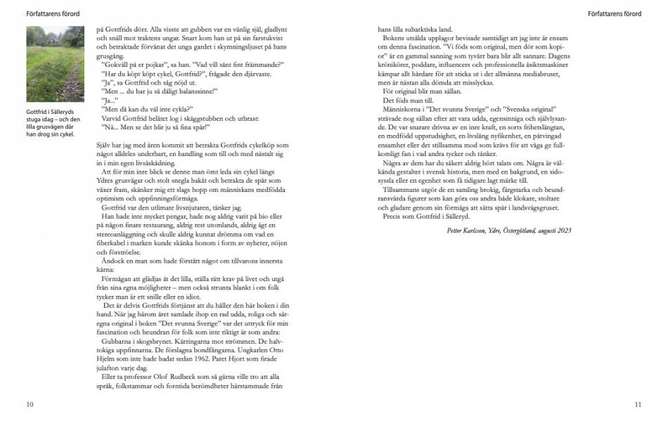 Svenska original - Sällsamma berättelser av Petter Karlsson