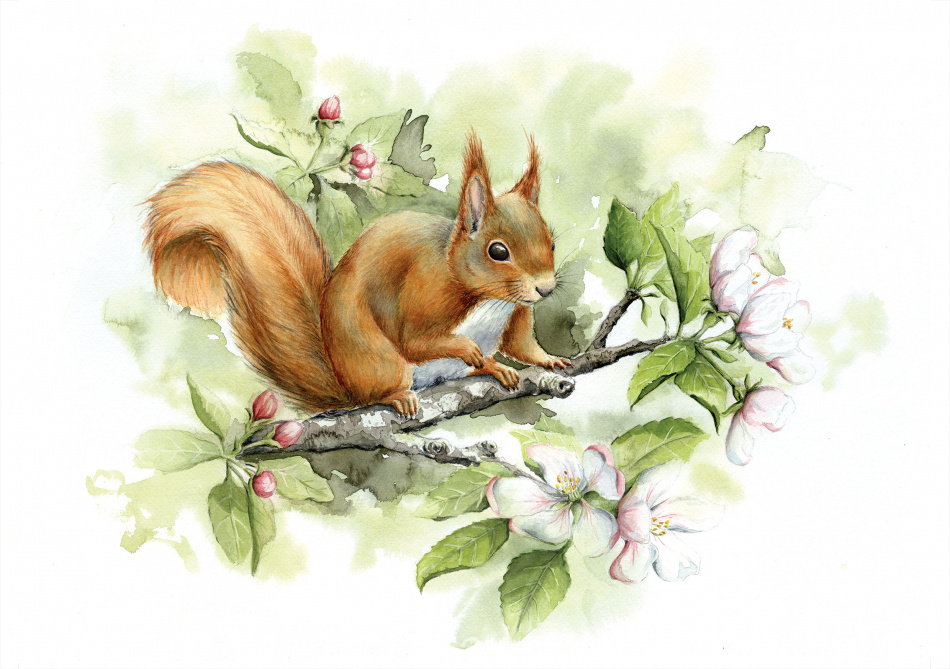Ekorre i äppelblom 2
