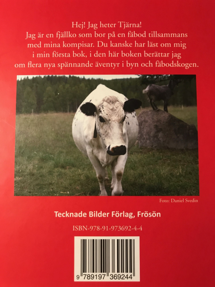 Tjärna med kompisar på nya äventyr i byn och fäbodskogen  2