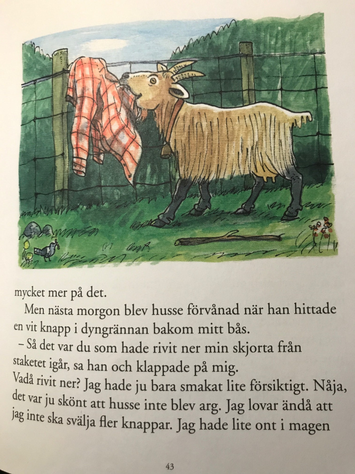 Tjärna med kompisar på nya äventyr i byn och fäbodskogen  3