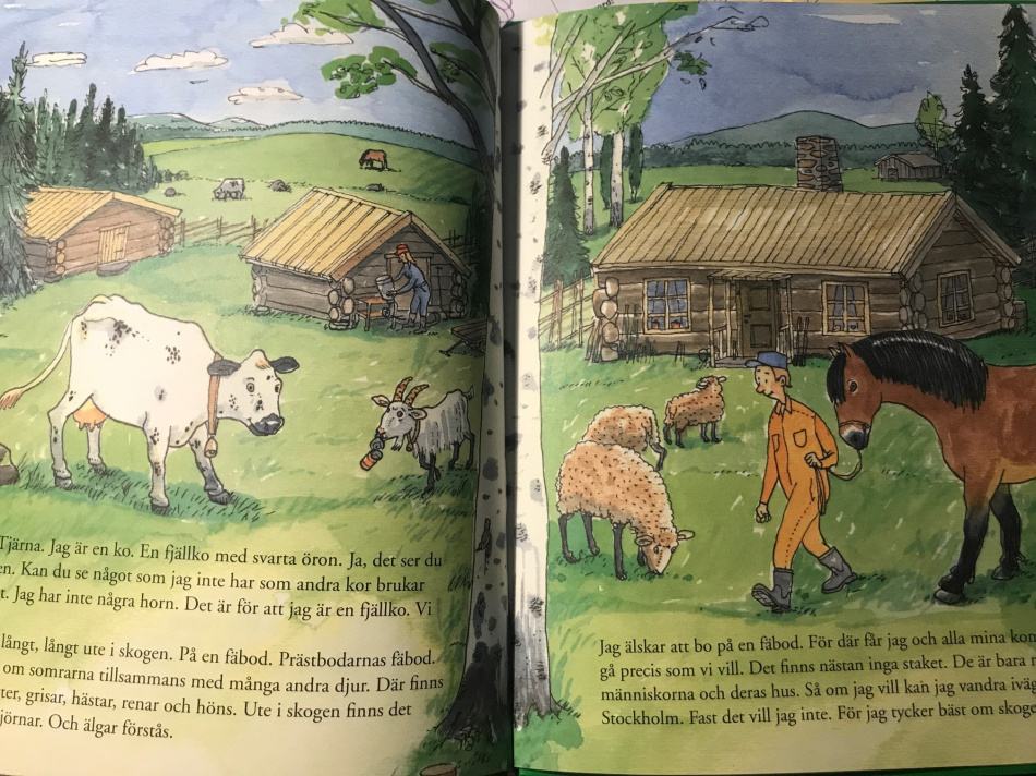 Tjärna - en glad fjällko på äventyr 4