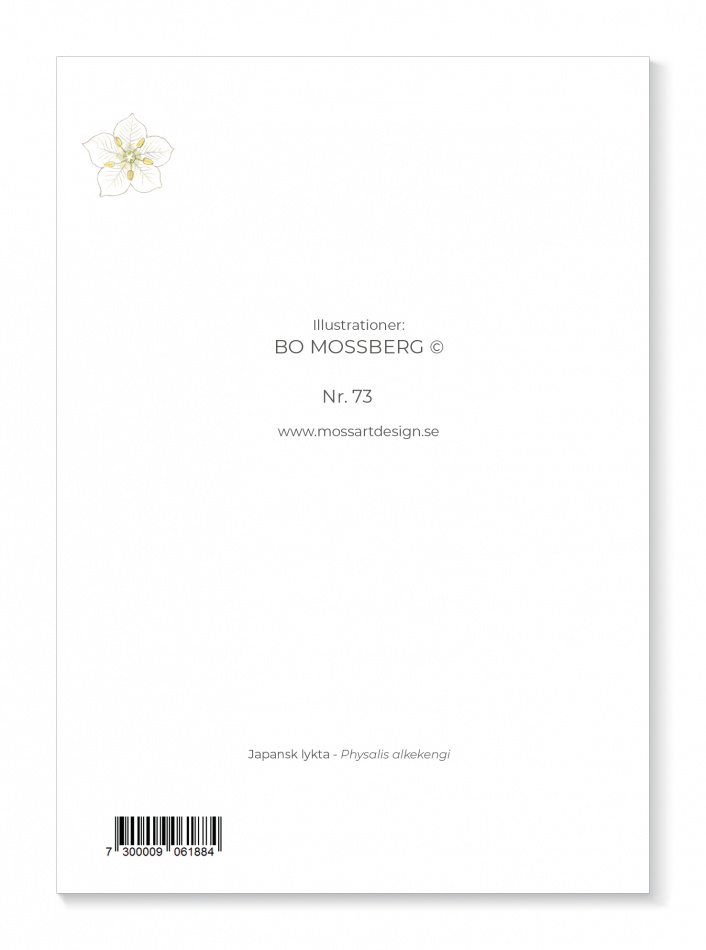 Kort Japansk lykta 2
