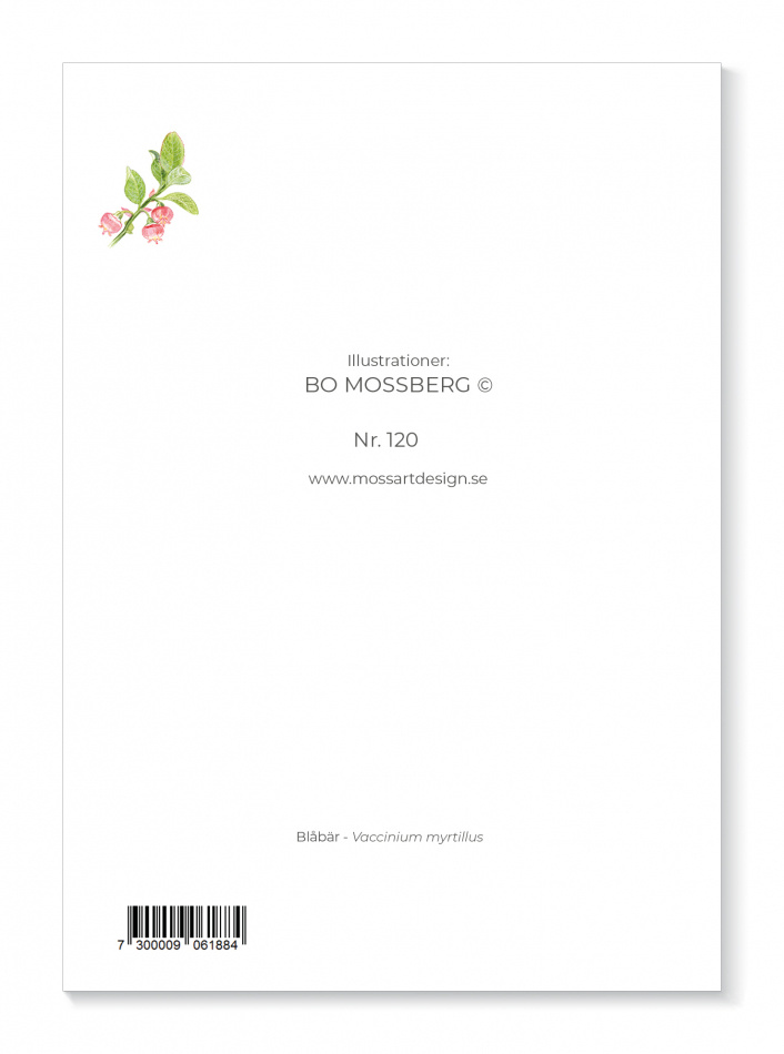 Kort Blåbär 2