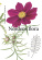 Nordens flora Nordens flora