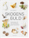 Skogens guld Skogens guld
