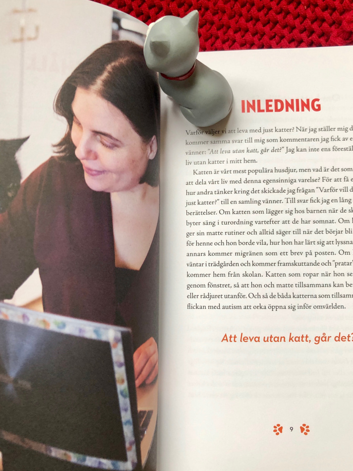 Katt och människa emellan 2