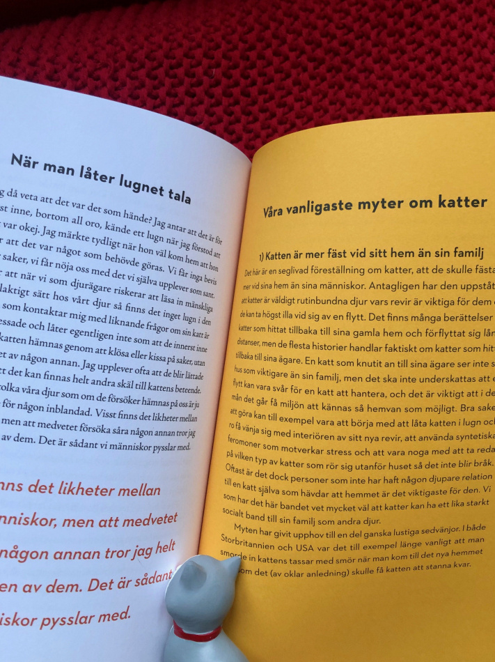 Katt och människa emellan 3