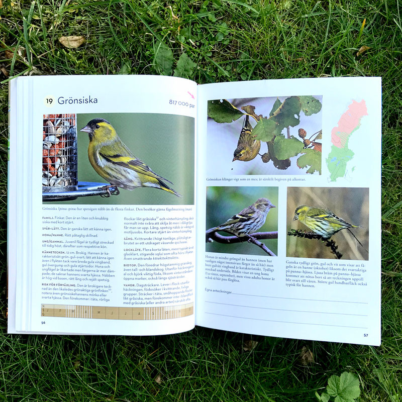 Sveriges 100 vanligaste fåglar 2