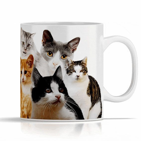 Mugg: Toksöta katter