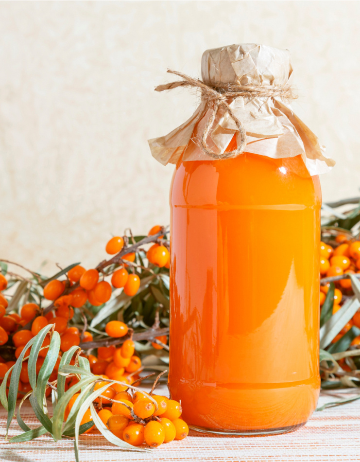 Växtpaket Havtorn 4