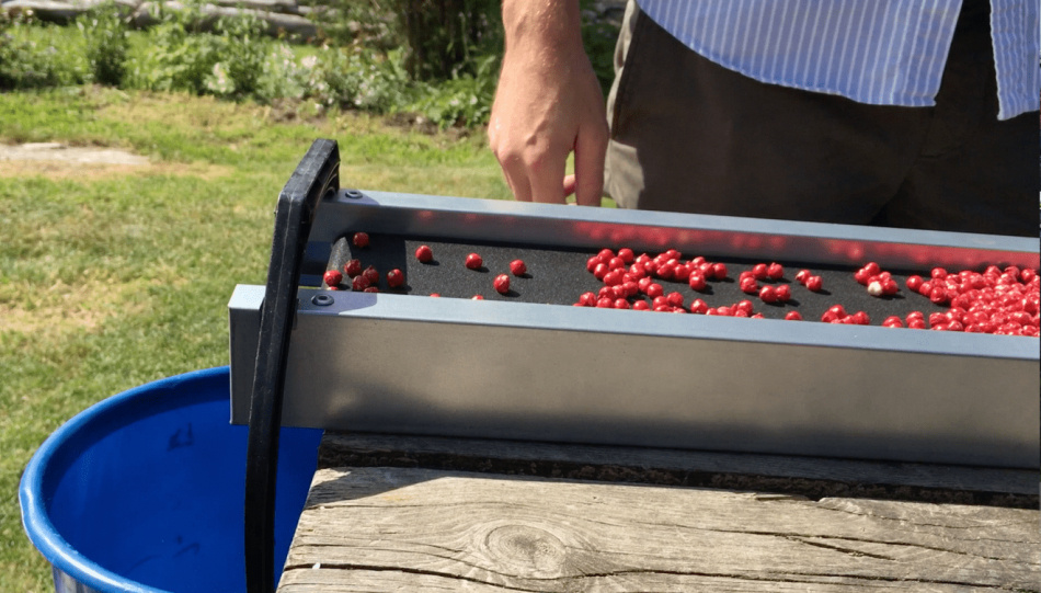 Bärrensaren The Berrybooster