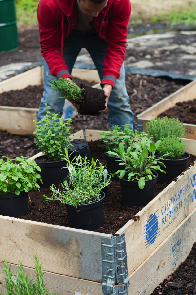Rätt ur jorden : Handbok i självhushållning