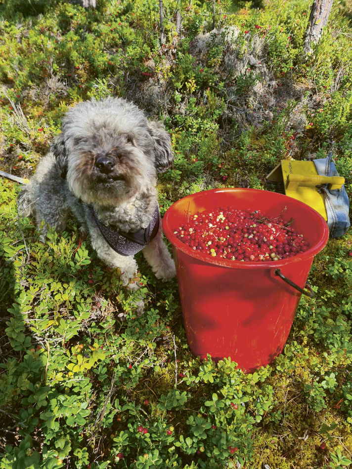 Ett år med mamma – Ett hållbart liv över generationer