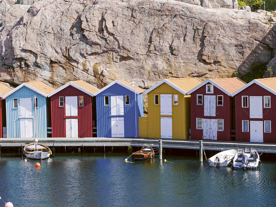Blåmusslor: En kokbok för framtiden