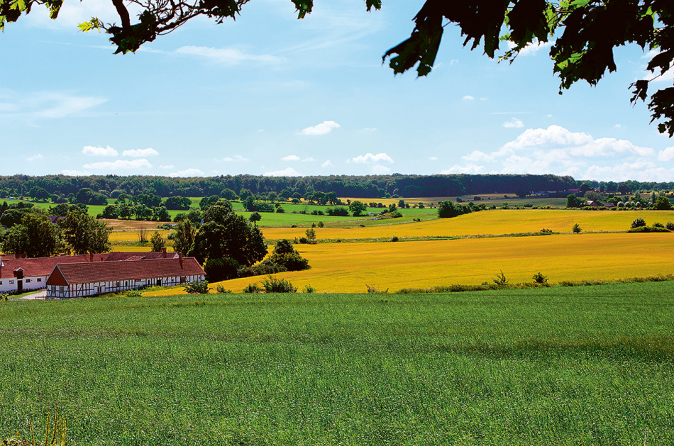 Sveriges landskapsmåltider