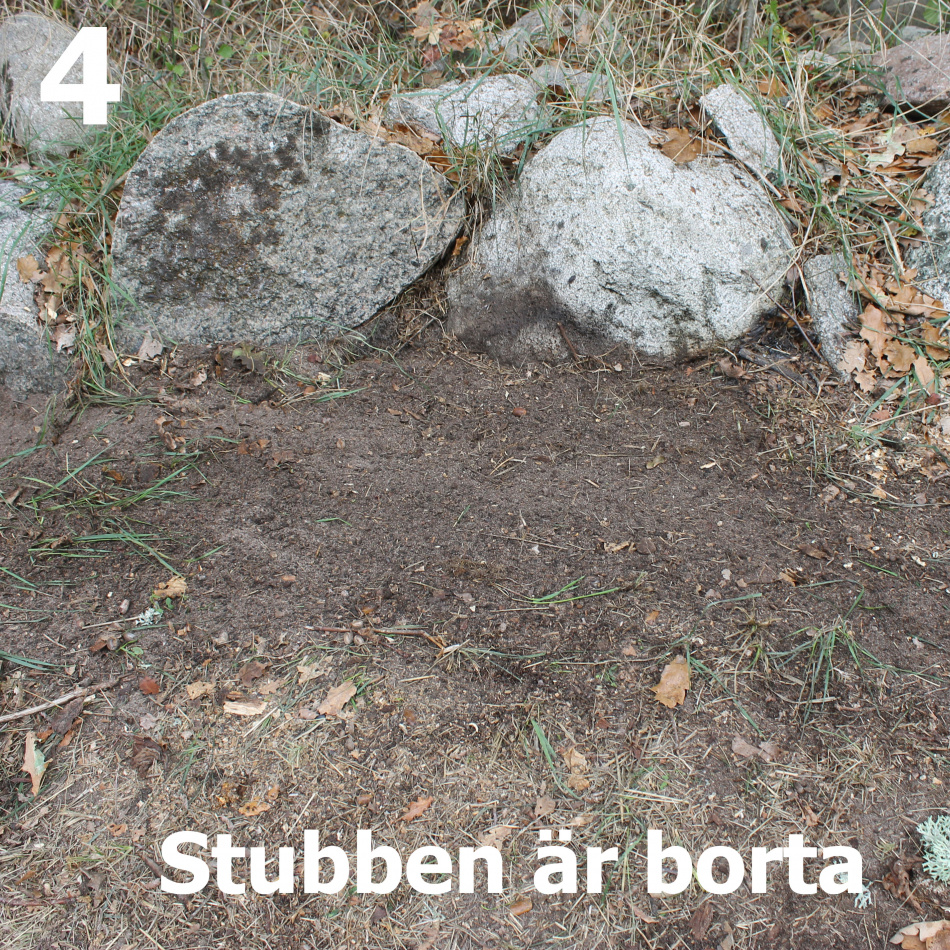 Stubbskorsten™-elda enkelt upp dina stubbar 5