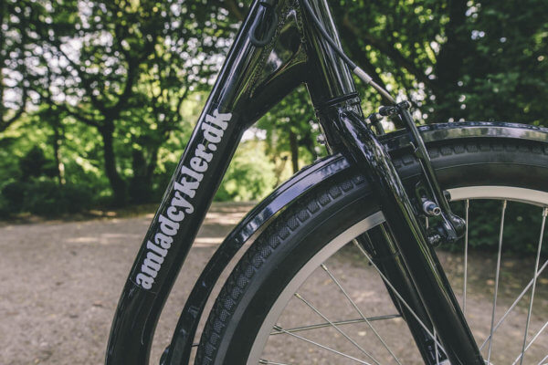 El Trehjuling Vuxen 4