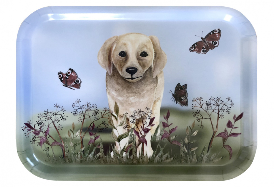 Bricka, Labrador ljus 20x27 cm