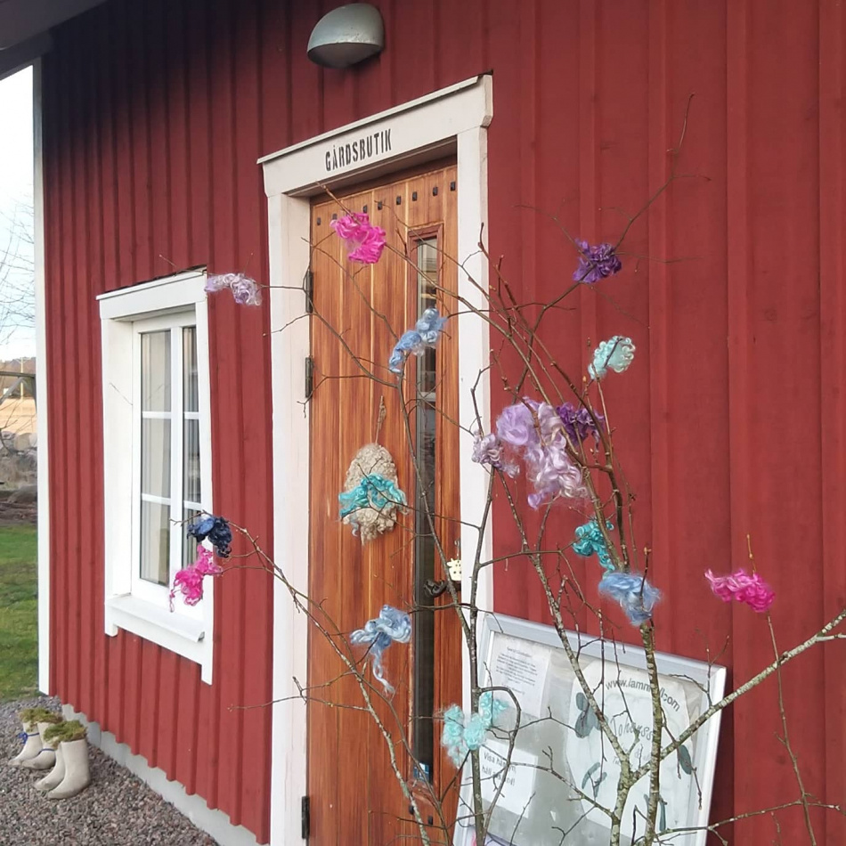 Färgad krullig ull i ris utomhus