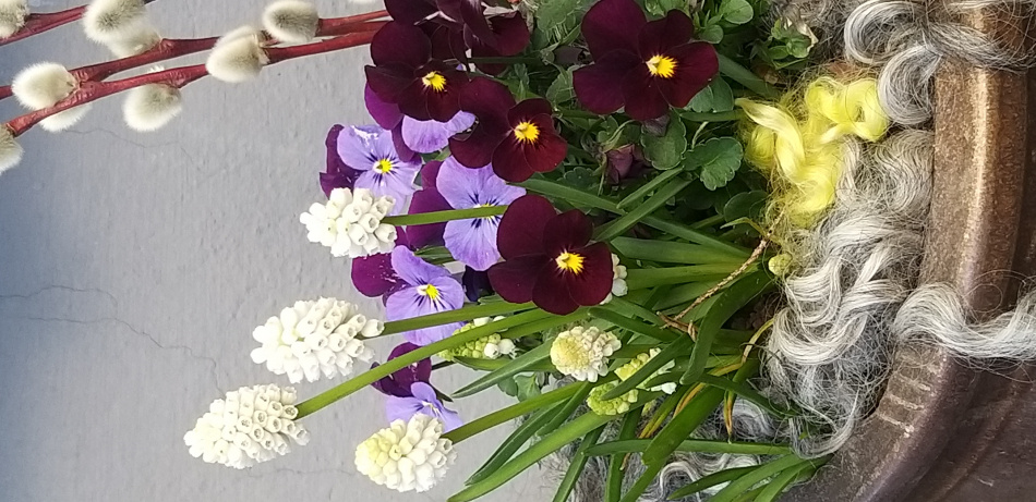 Krullig ull som dekoration i blomkruka