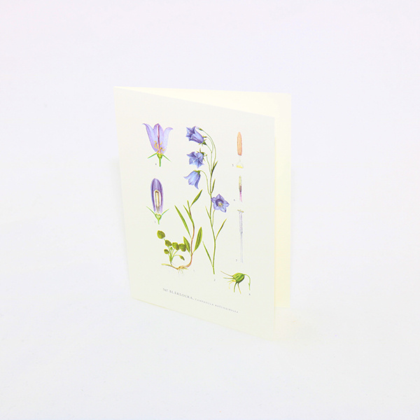 Dubbelvikt Kort på Blommor 10,5x15 FLERA MOTIV 1