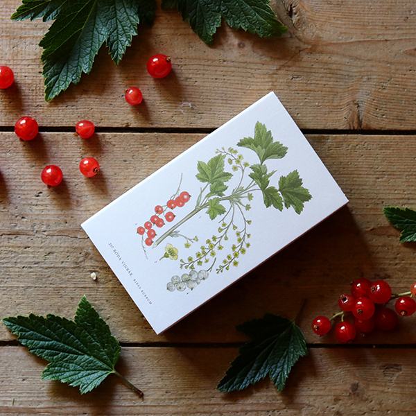 Tändsticksask Röda Vinbär 2