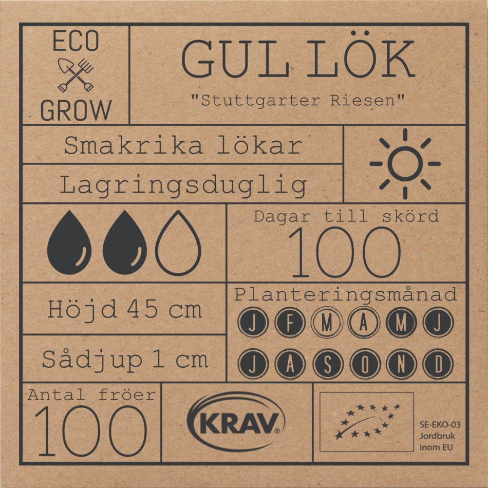 Gul Lök - Stuttgarter Riesen