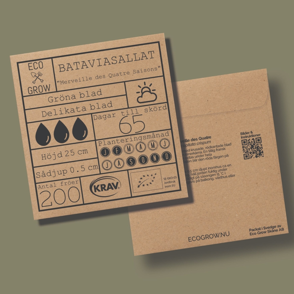 Bataviasallat - Merveille des Quatre Saisons Ekologiska Fröer Online