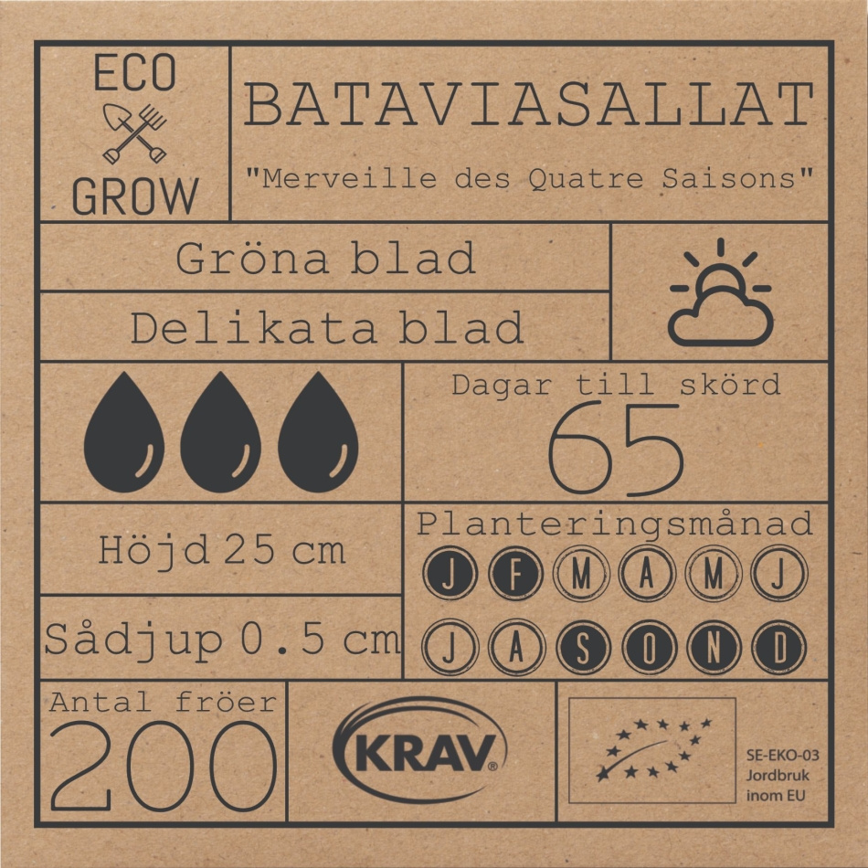 Bataviasallat - Merveille des Quatre Saisons Fröer Online - Gröna Blad