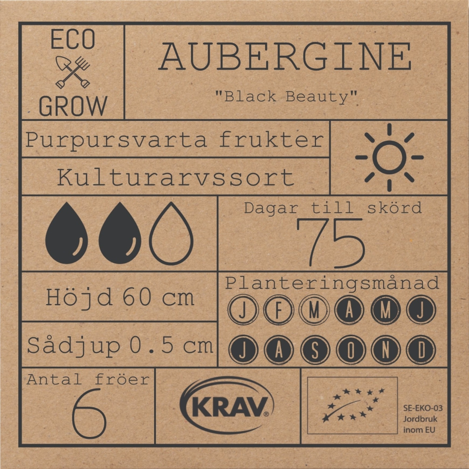 Aubergine - Black Beauty Fröer Online - Övrigt