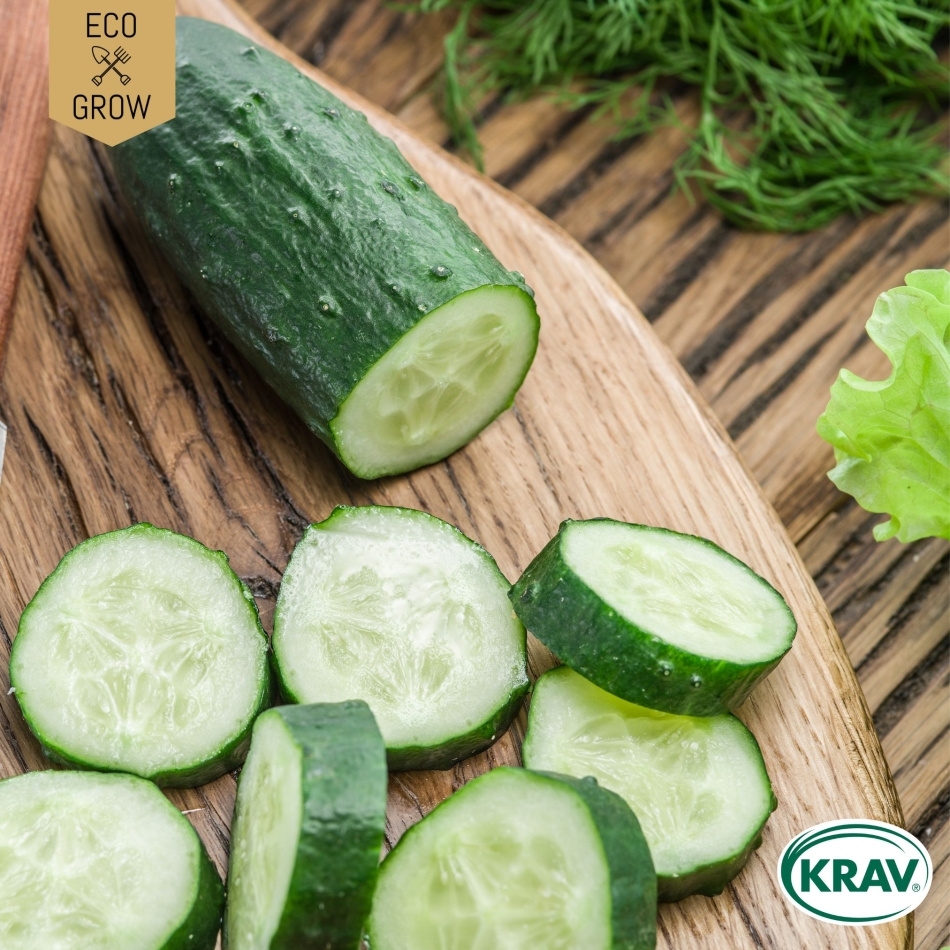 Slanggurka - Marketmore 70