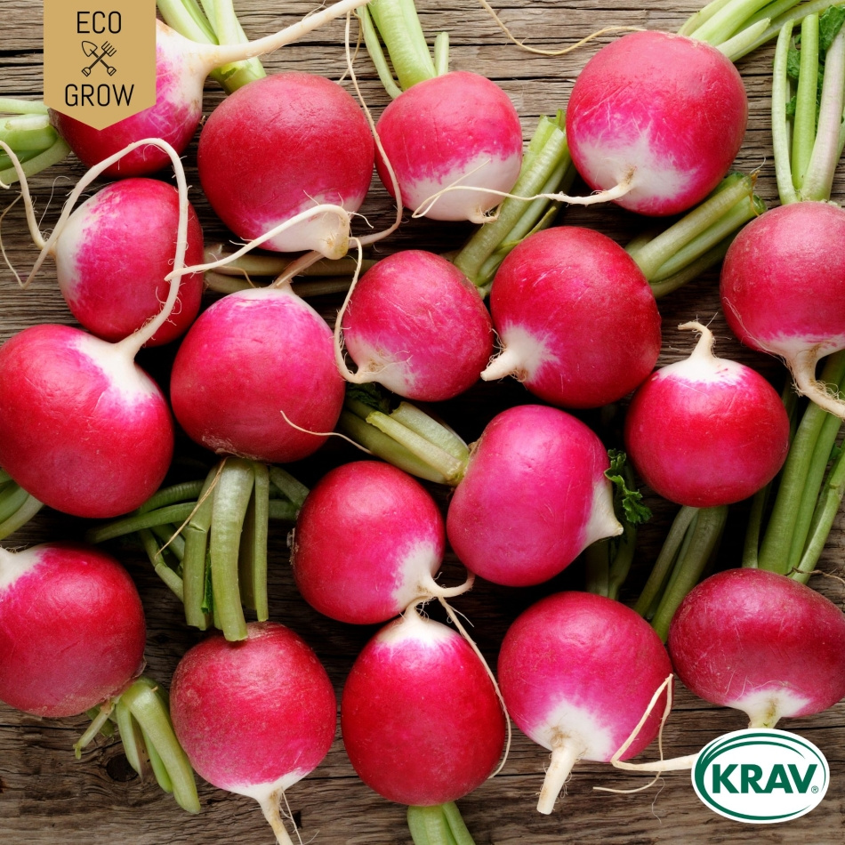 Rädisa - National 2