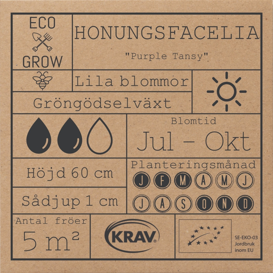 Honungsfacelia - Purple Tansy Fröer Online - Blomma