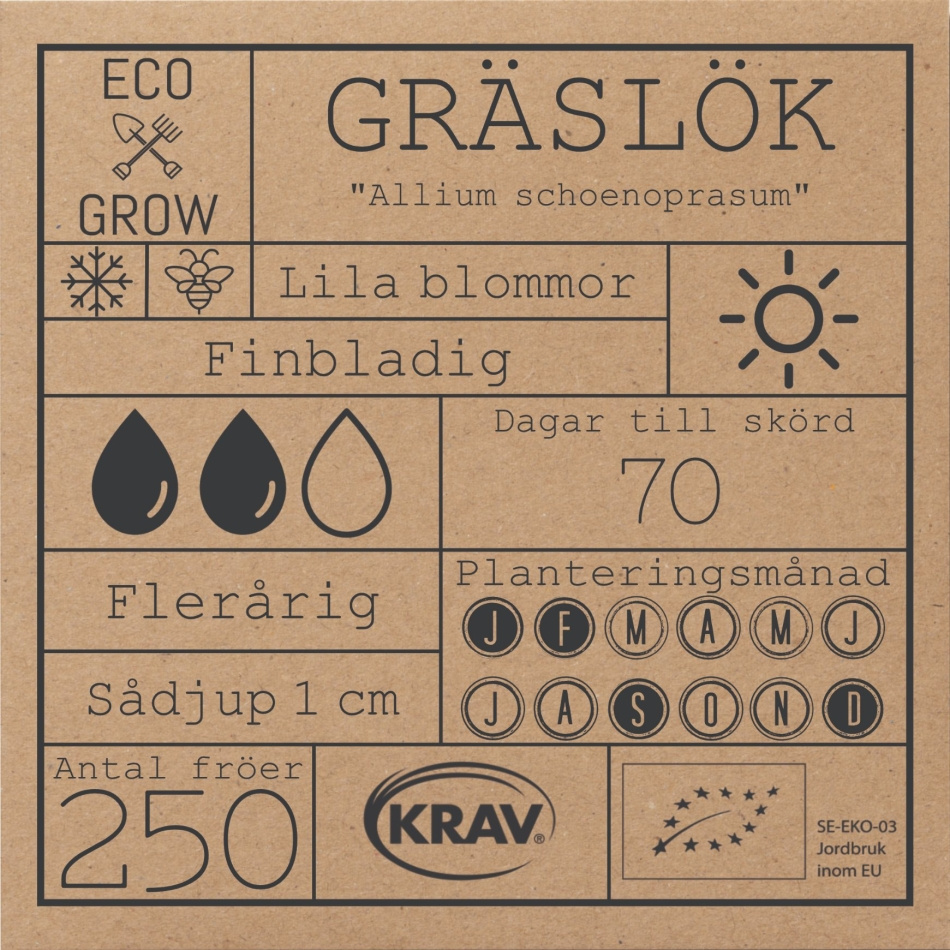 Gräslök - Allium schoenoprasum