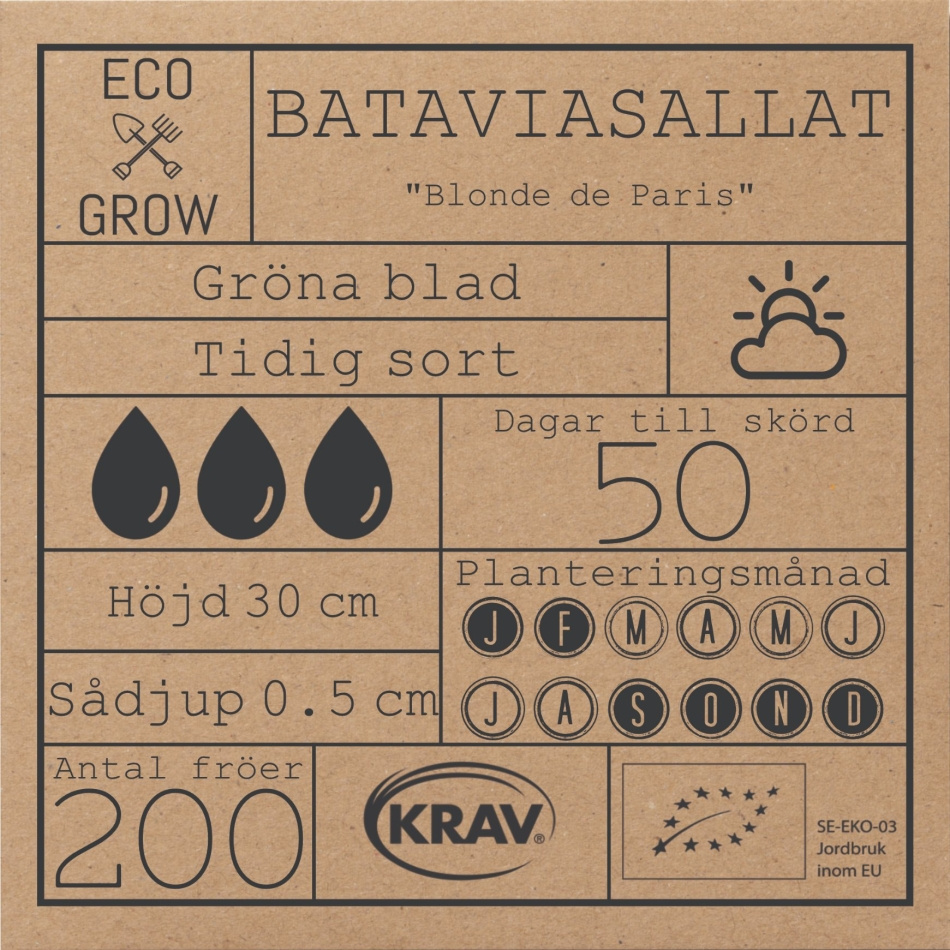 Bataviasallat - Blonde de Paris Fröer Online - Gröna Blad