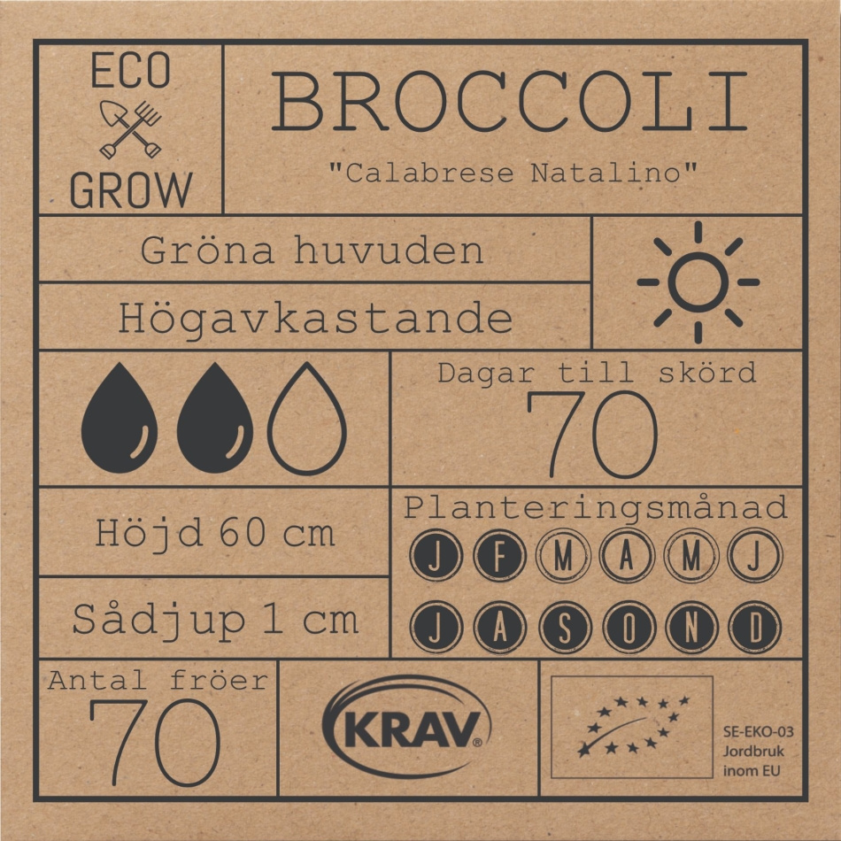 Broccoli - Calabrese Natalino Fröer Online - Kålväxt