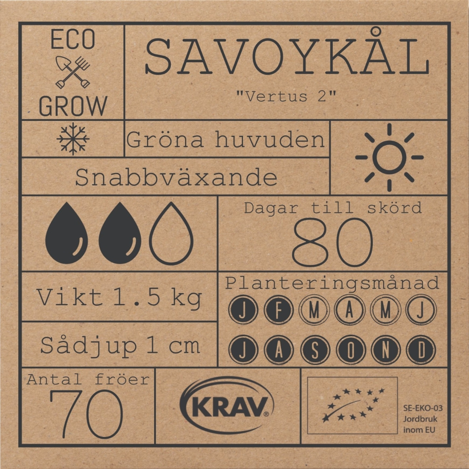 Savoykål - Vertus 2
