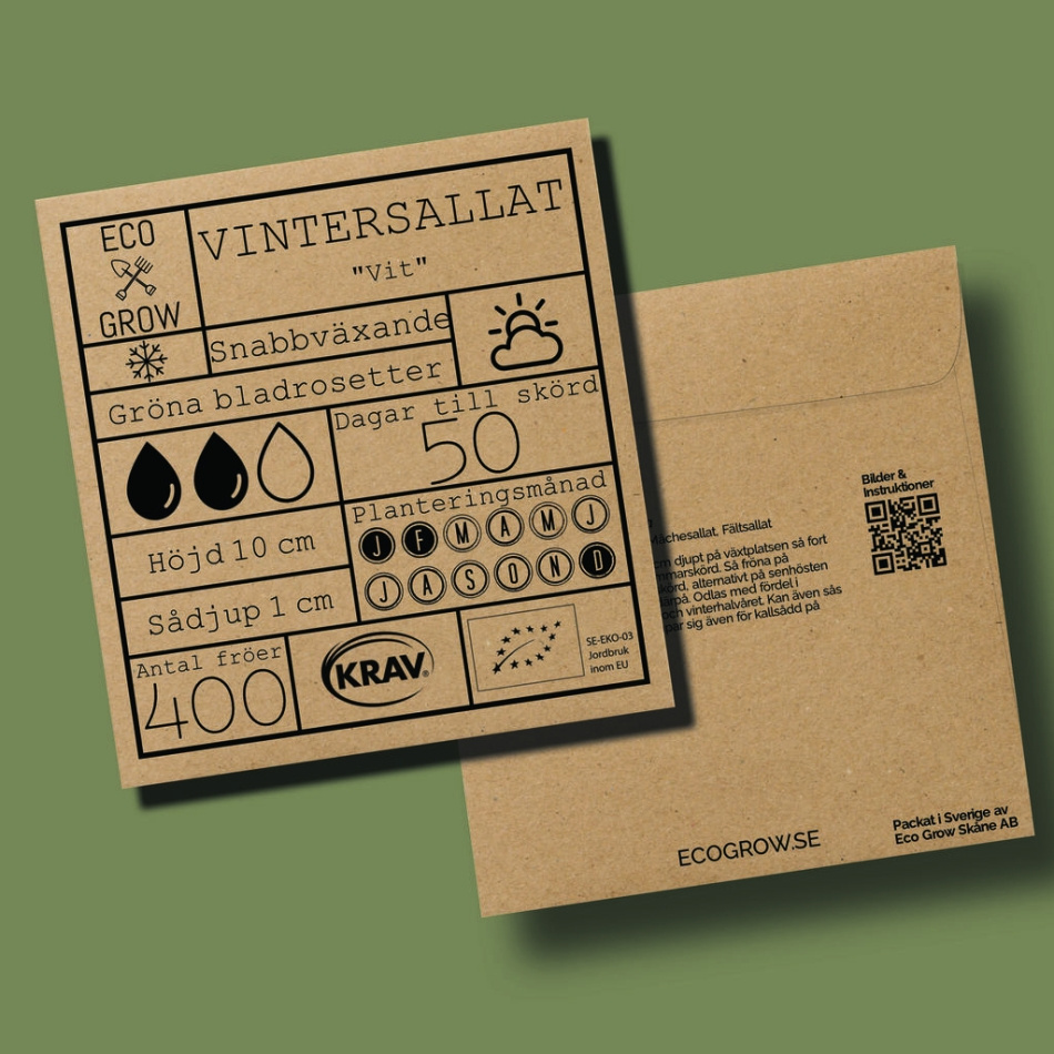 Vintersallat - Vit Ekologiska Fröer Online