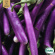 Aubergine - Tarim Aubergine - Tarim