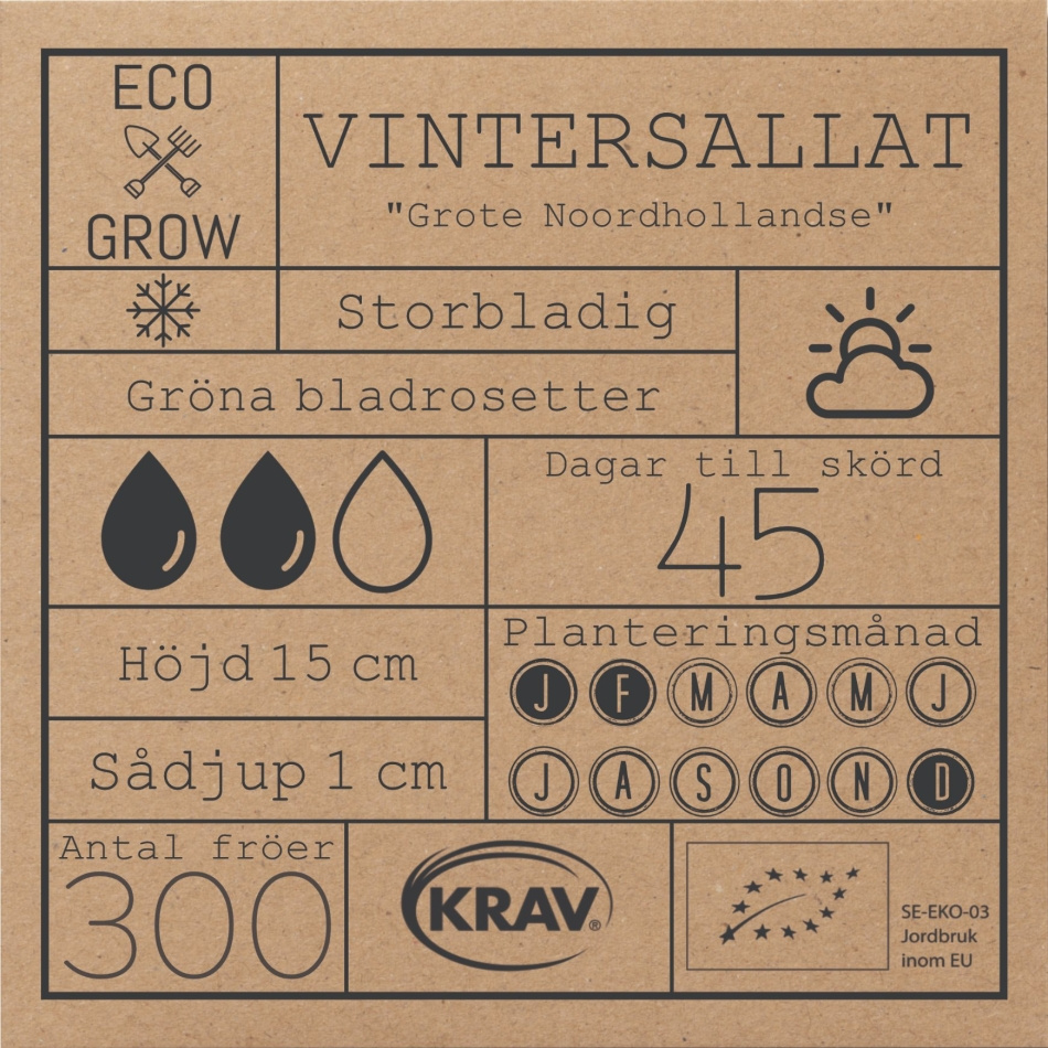 Vintersallat - Grote Noordhollandse Fröer Online - Gröna Blad