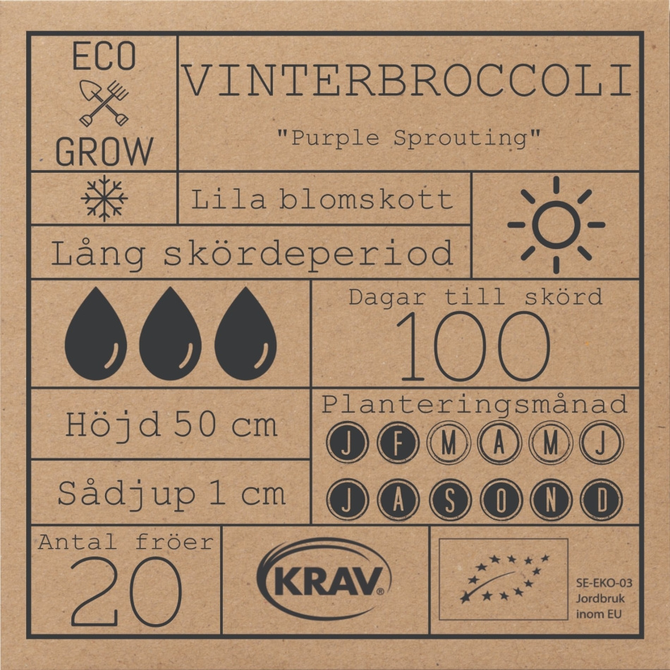 Vinterbroccoli - Purple Sprouting