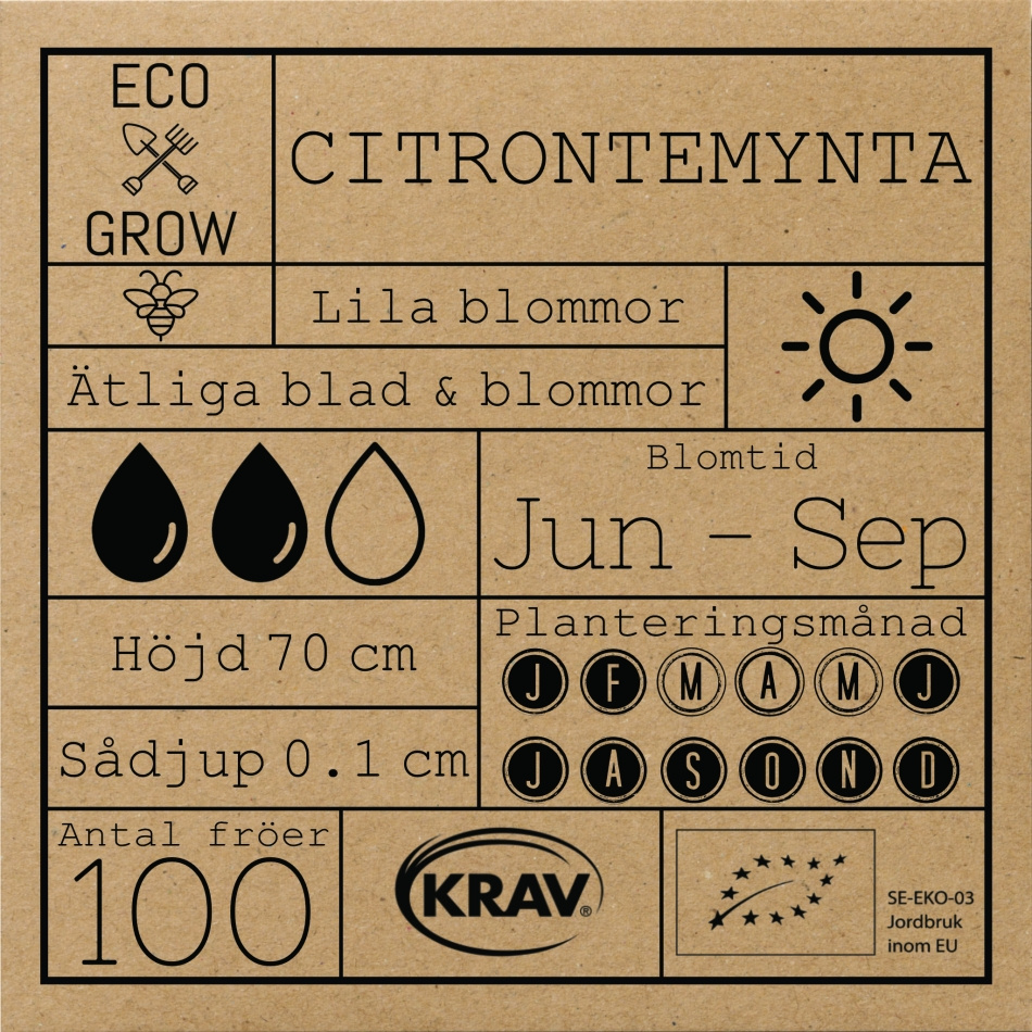 Citrontemynta