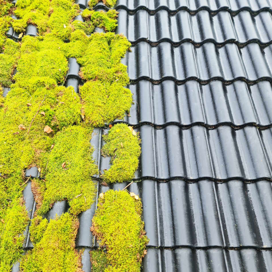 Tar effektivt bort mossa på tak