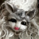 Katt i ull Katt i ull