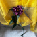 Blomma i ull Blomma i ull