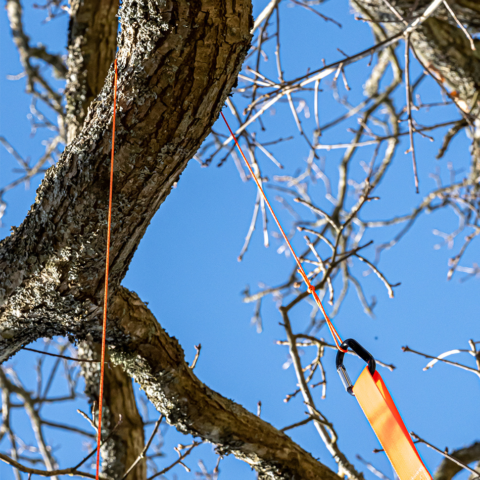 kastlinan används för att dra remmen över grenen för att slutligen placera sågkedjan på grenen