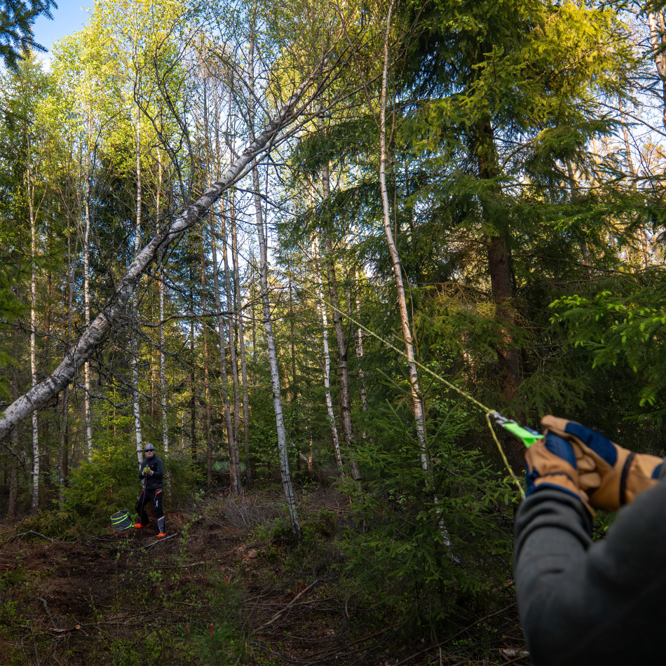 Lineworker Elcertifierad Kastsåg för Sågning av Höga Grenar - Nordic Pocket Saw