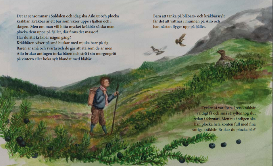 Ailo på Kråkbärsfjället